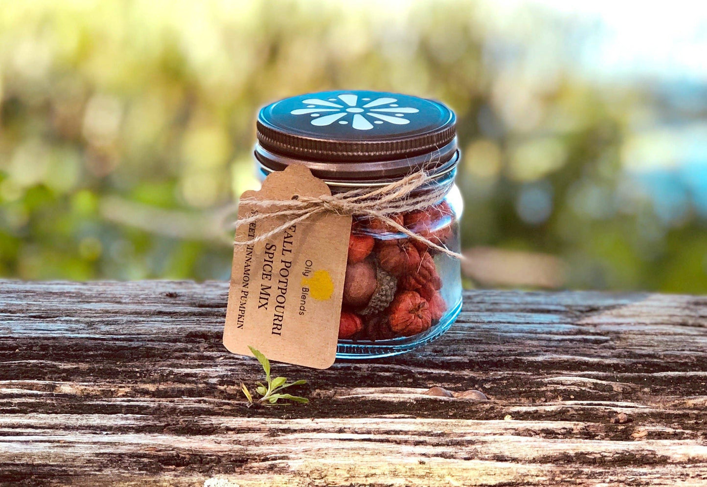 Fall Spiced Pumpkin Mix in Jars: Pumpkin Spice