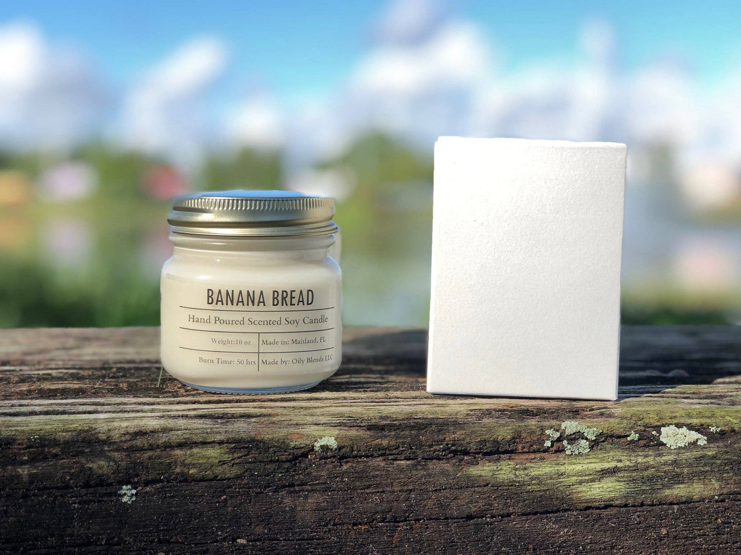 Fall Scented Candles - 50 Hour Burn Time Soy Wax Candles: OctoberFest