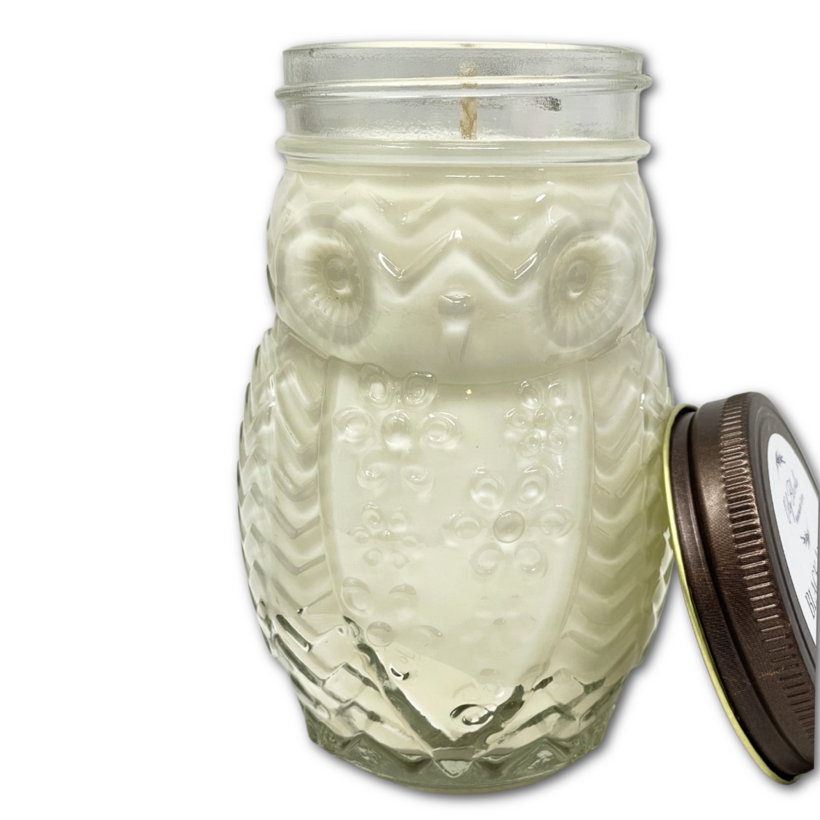 Owl Jumbo Woodland Soy Wax Candles in Specialty Jar: Black Amber and Plum